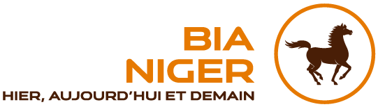 BIA Niger